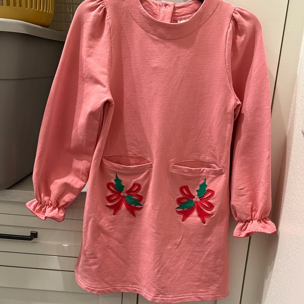 Pink dress with Embroidered holly. TBBC. 8